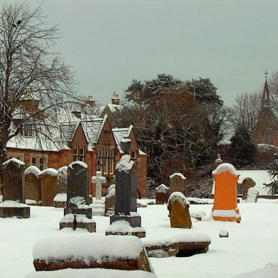 Gallery image 10