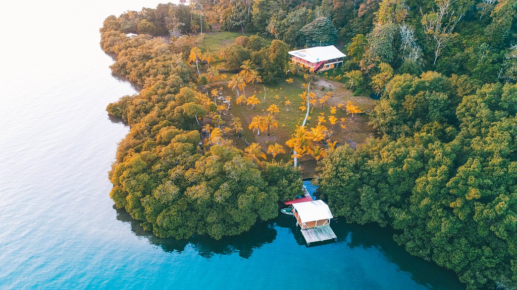 Ataraxia Bocas Del Toro