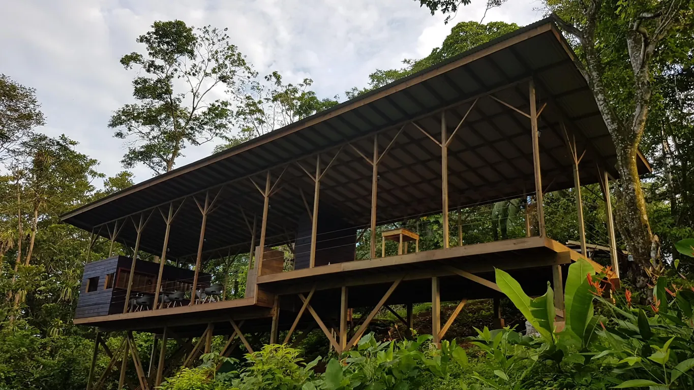 Gallery image 9