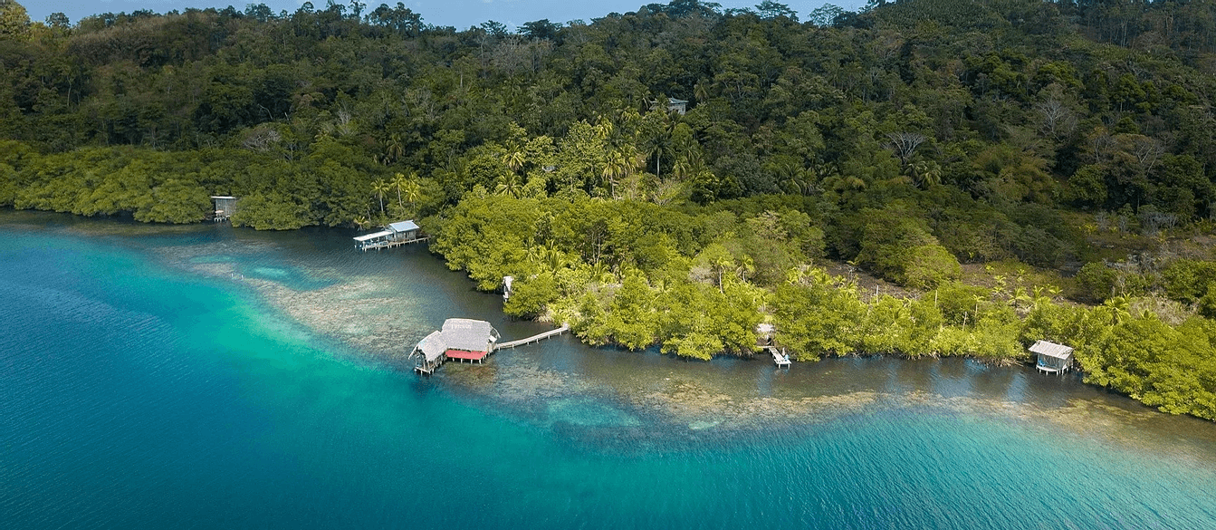 Cocovivo