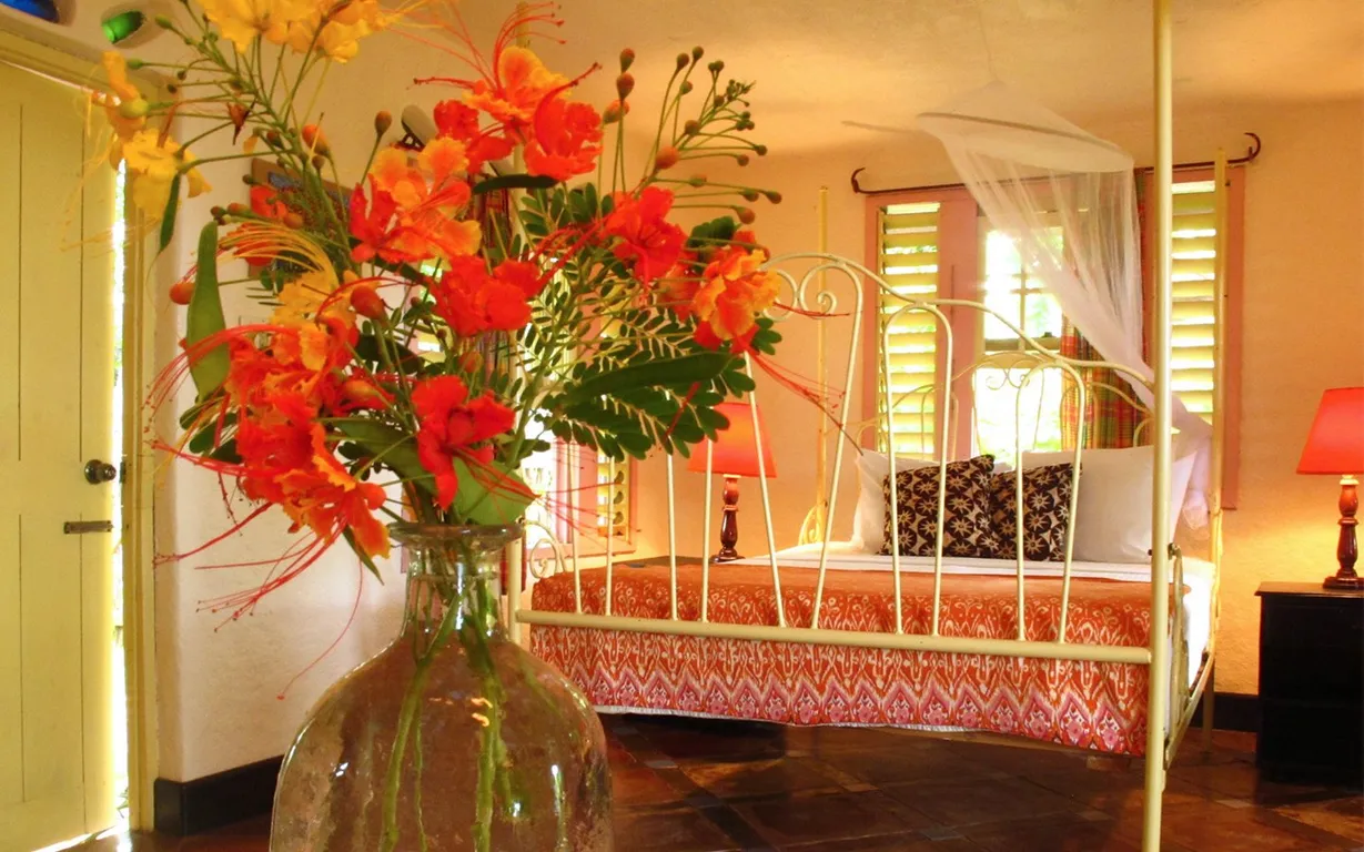 Gallery image 6
