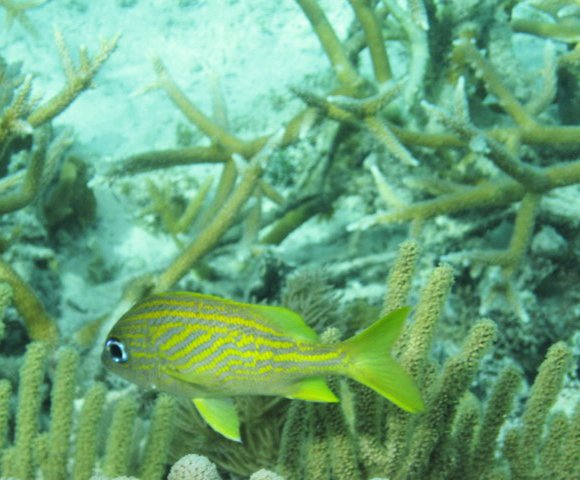 Gallery image 6