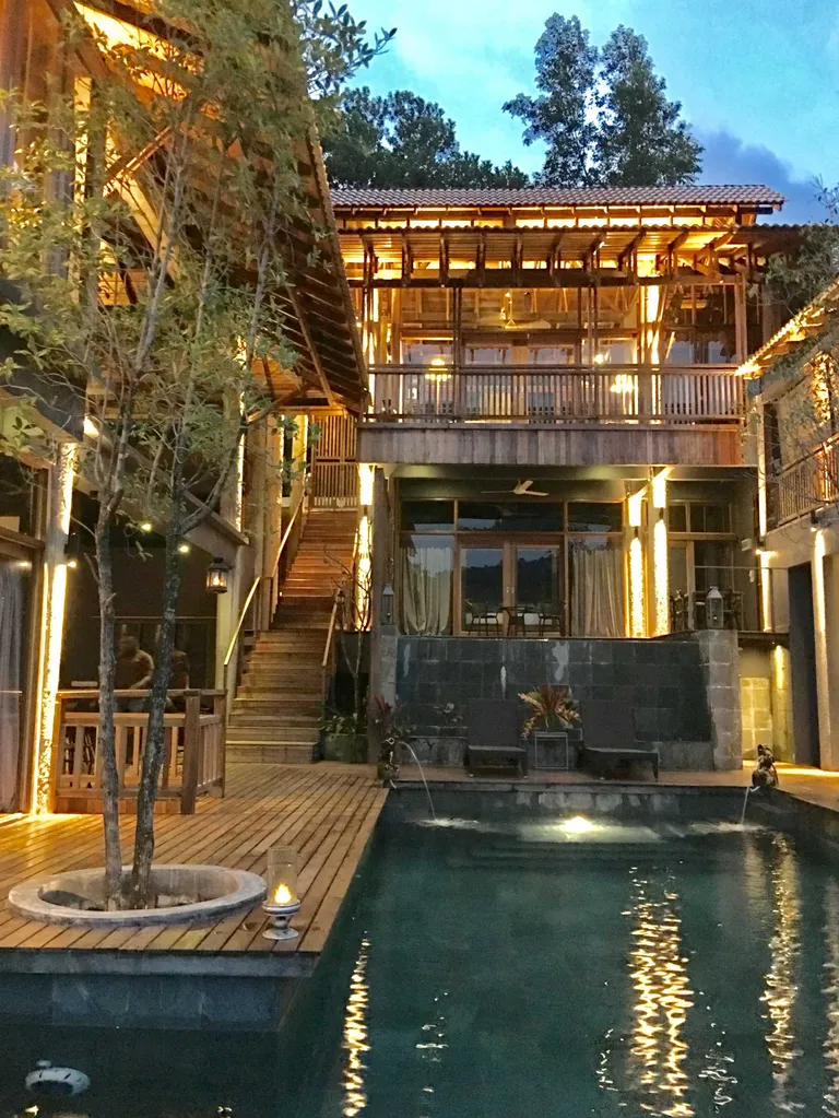 The Shorea