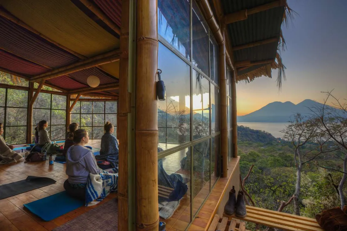 The Yoga Forest