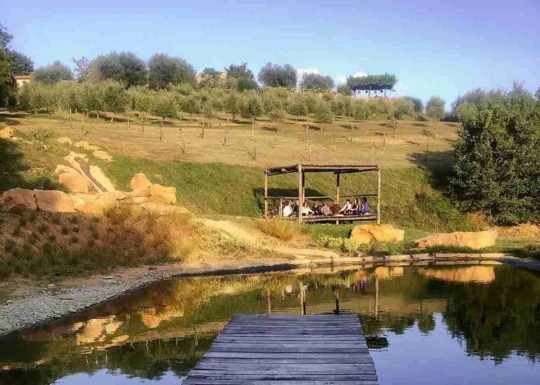 Gallery image 1