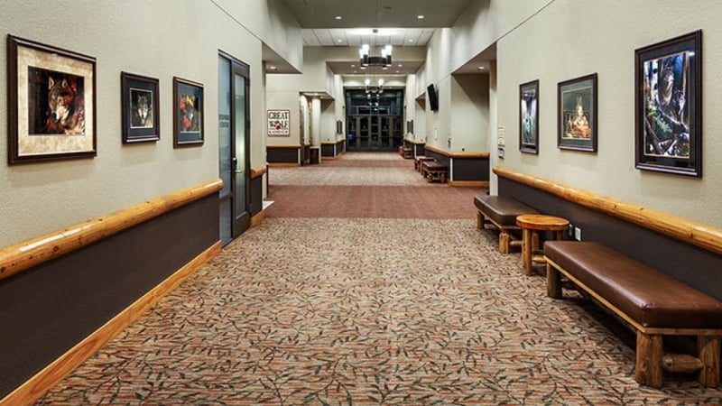 Gallery image 2