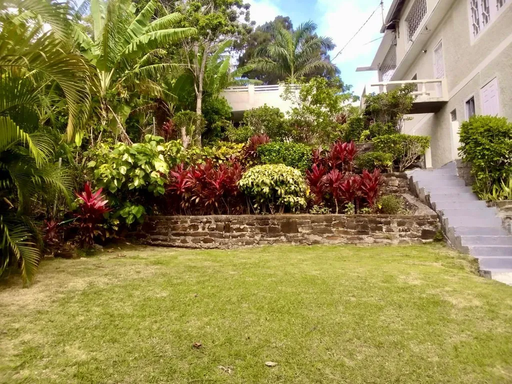 Gallery image 1