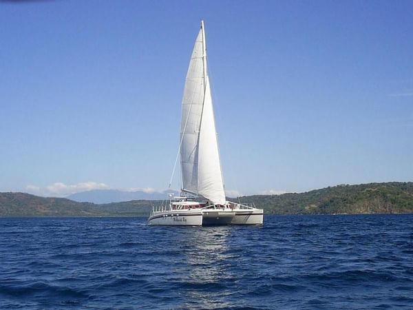 Gallery image 12