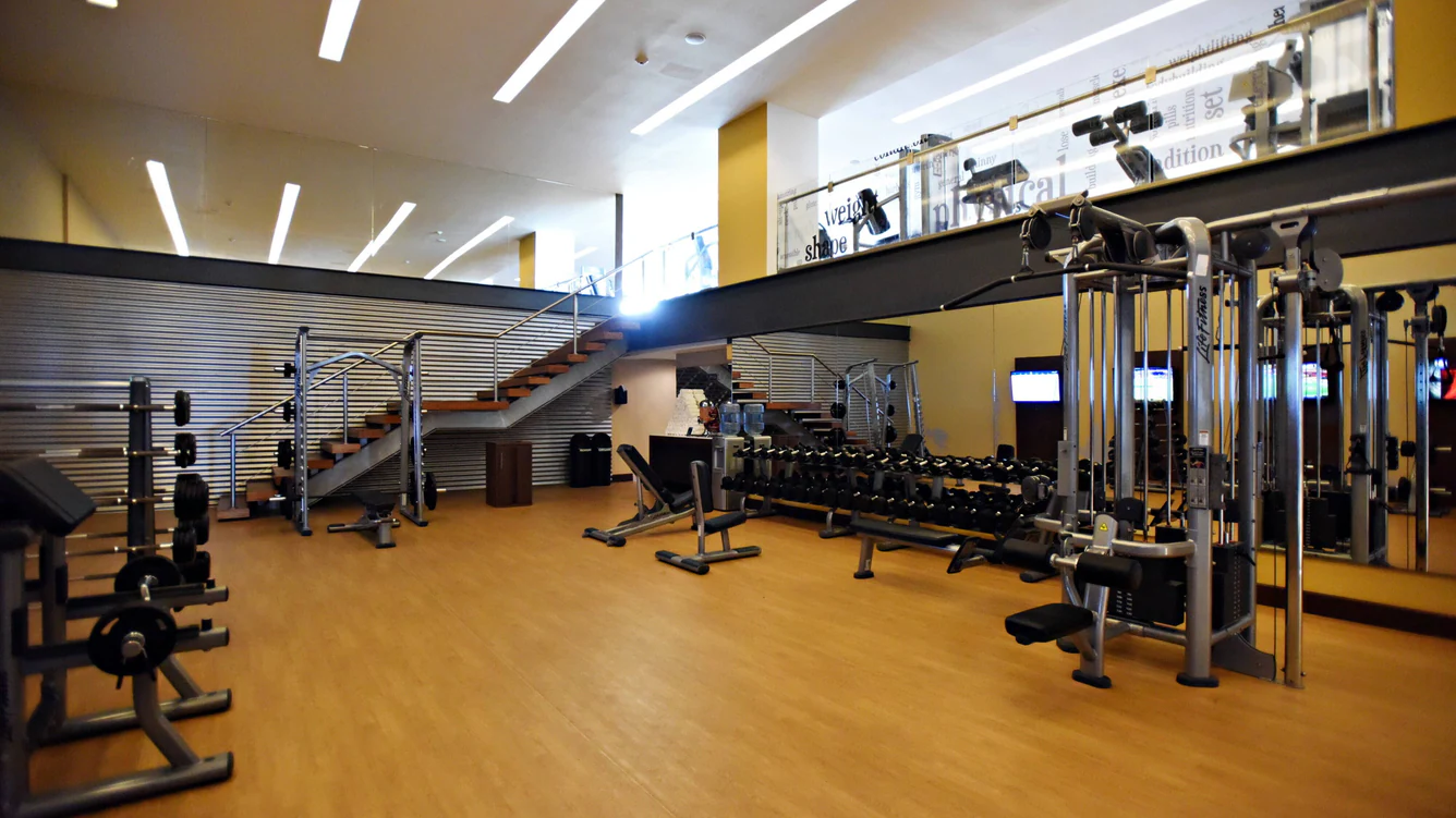 Gallery image 4