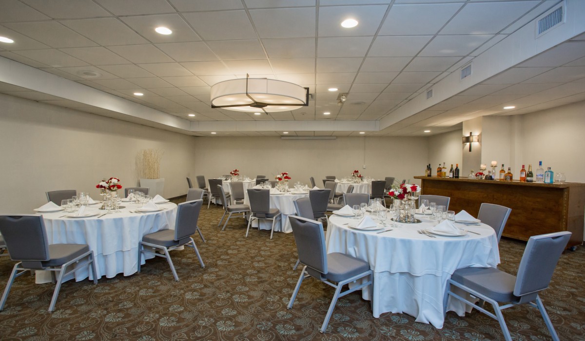 Gallery image 1