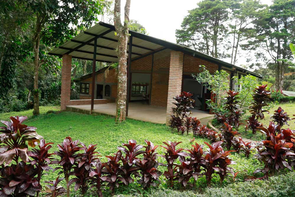 Gallery image 1