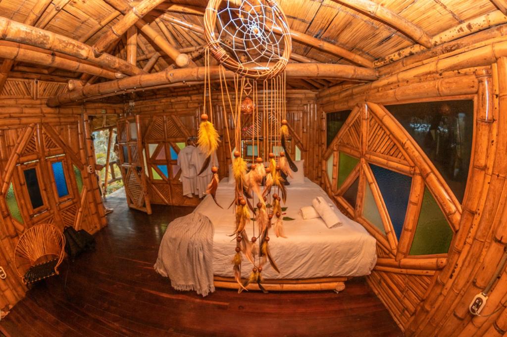 Gallery image 1