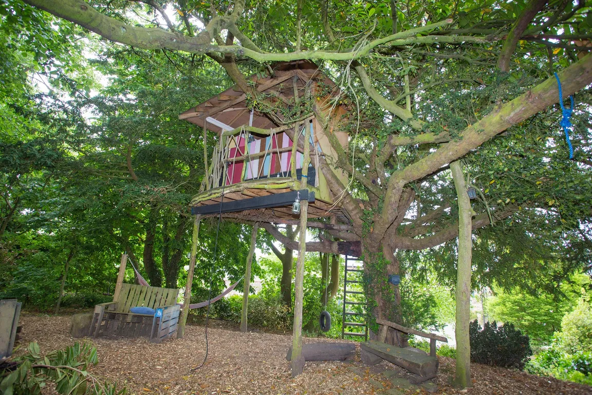 Gallery image 6