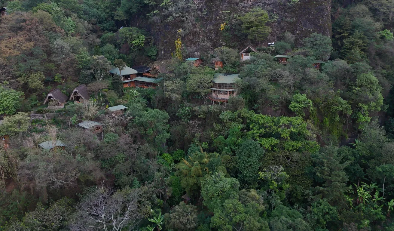 Kawoq Forest