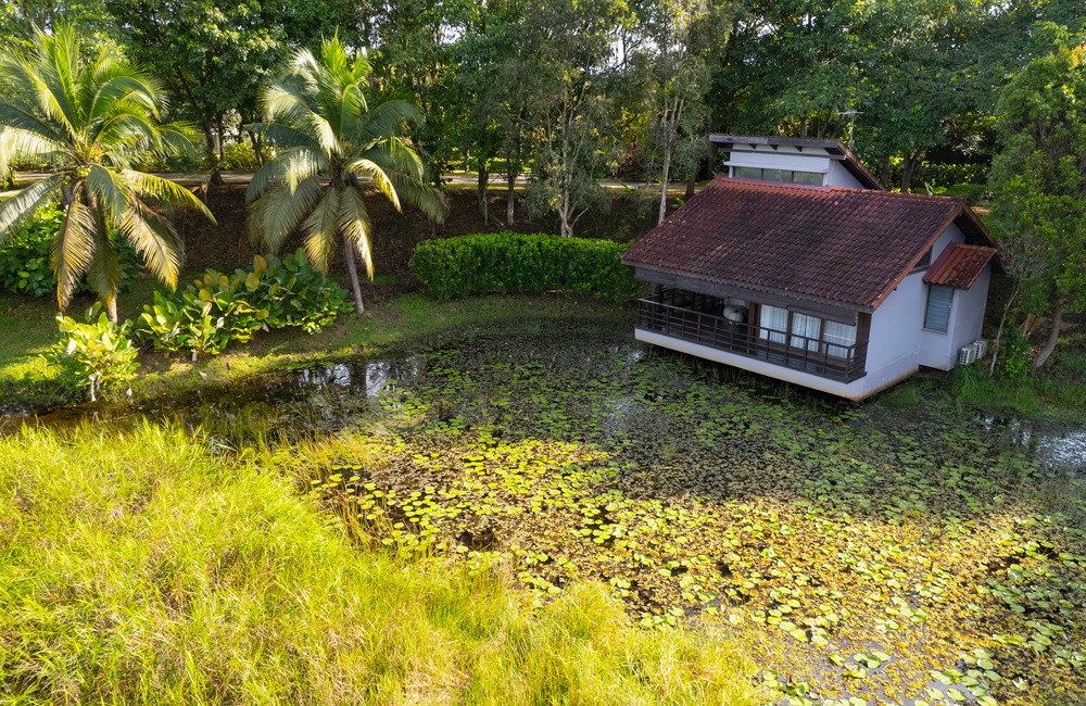Gallery image 7