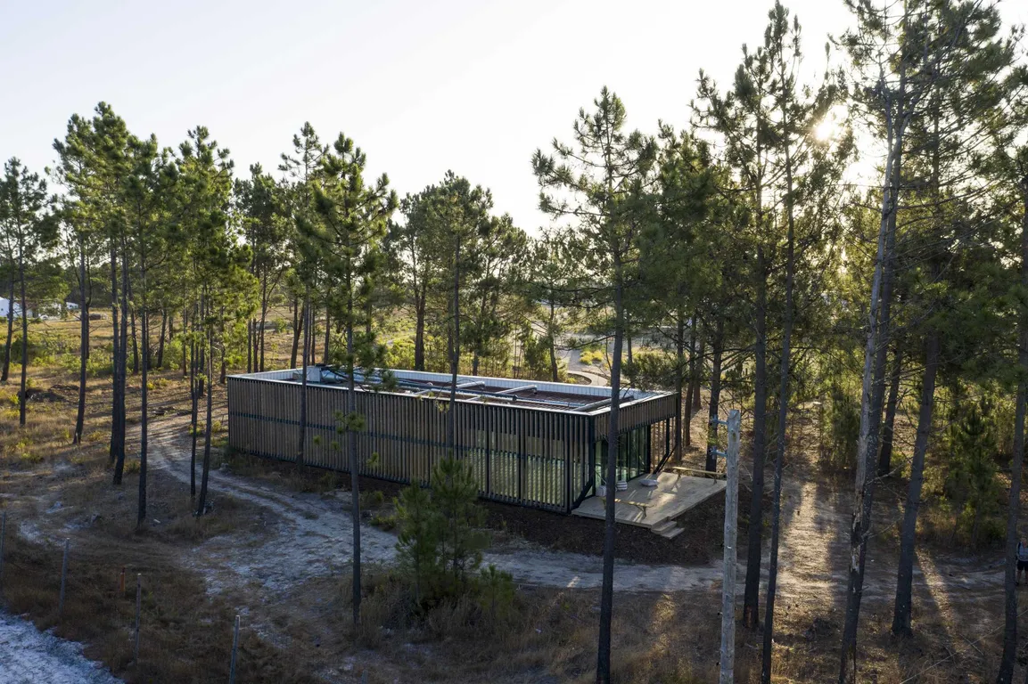 Gallery image 5